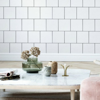 Pyro Echo Project Whites 1